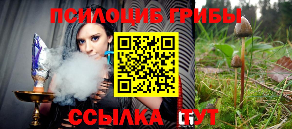 Галлюциногенные грибы мицелий  Галлюциногенные грибы GOLDEN TEACHER  Вход с VPN  Нальчик 